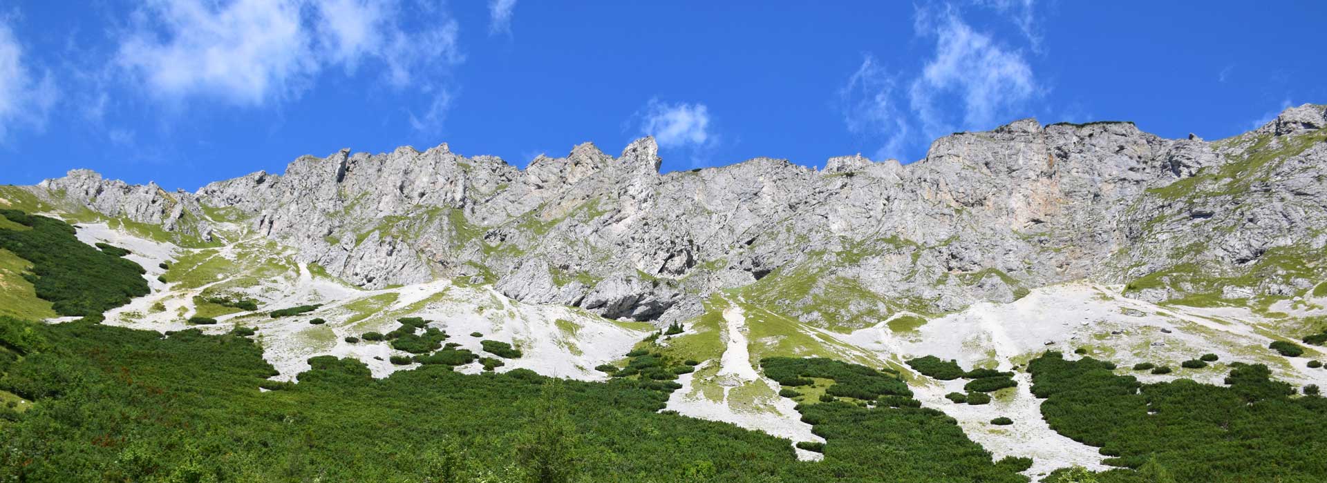 Herzlich Willkommen   auf der Brunnalm am Fuße der Hohen Veitsch